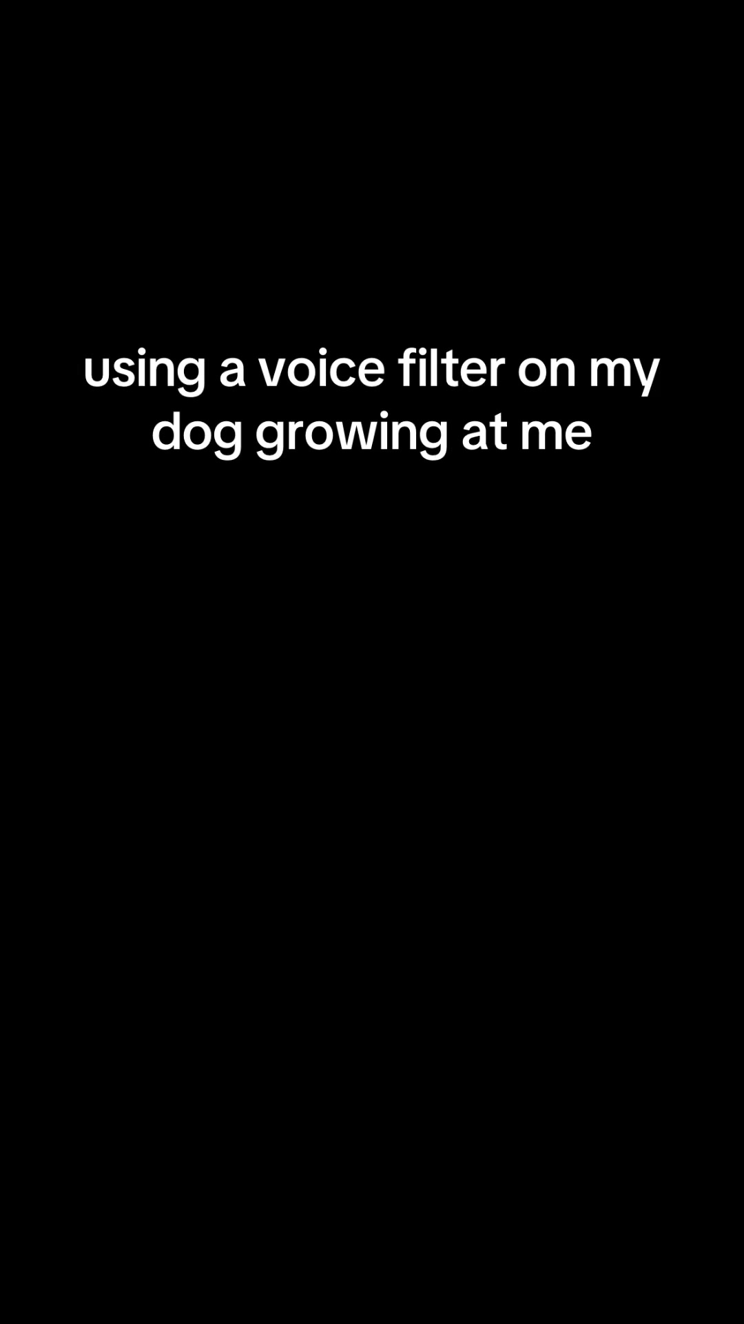 @𝓑𝓮𝓵𝓯𝓸𝓻𝓽
