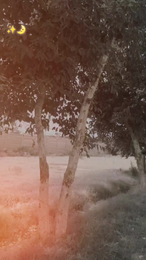 @عــاطـفـــــــ نــہـالـکــــہ