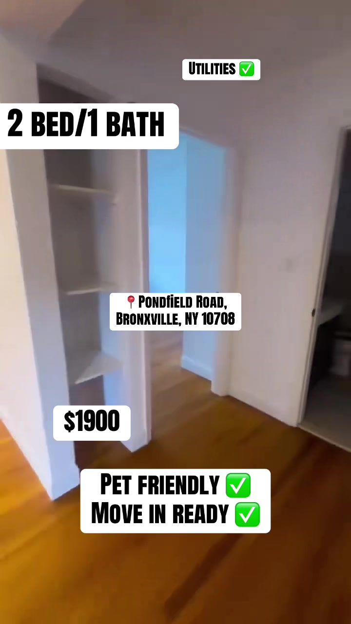 @Daily Rental Finds