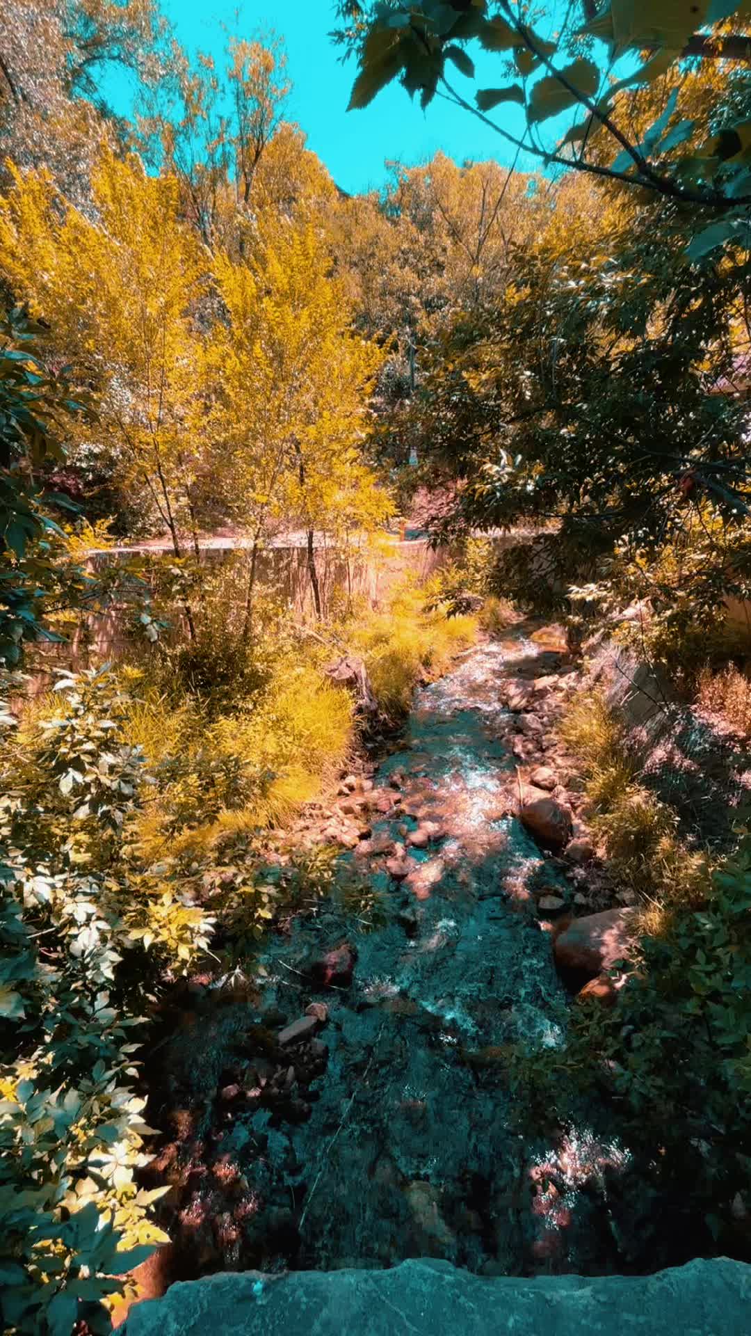 @the_gOth_ghOst