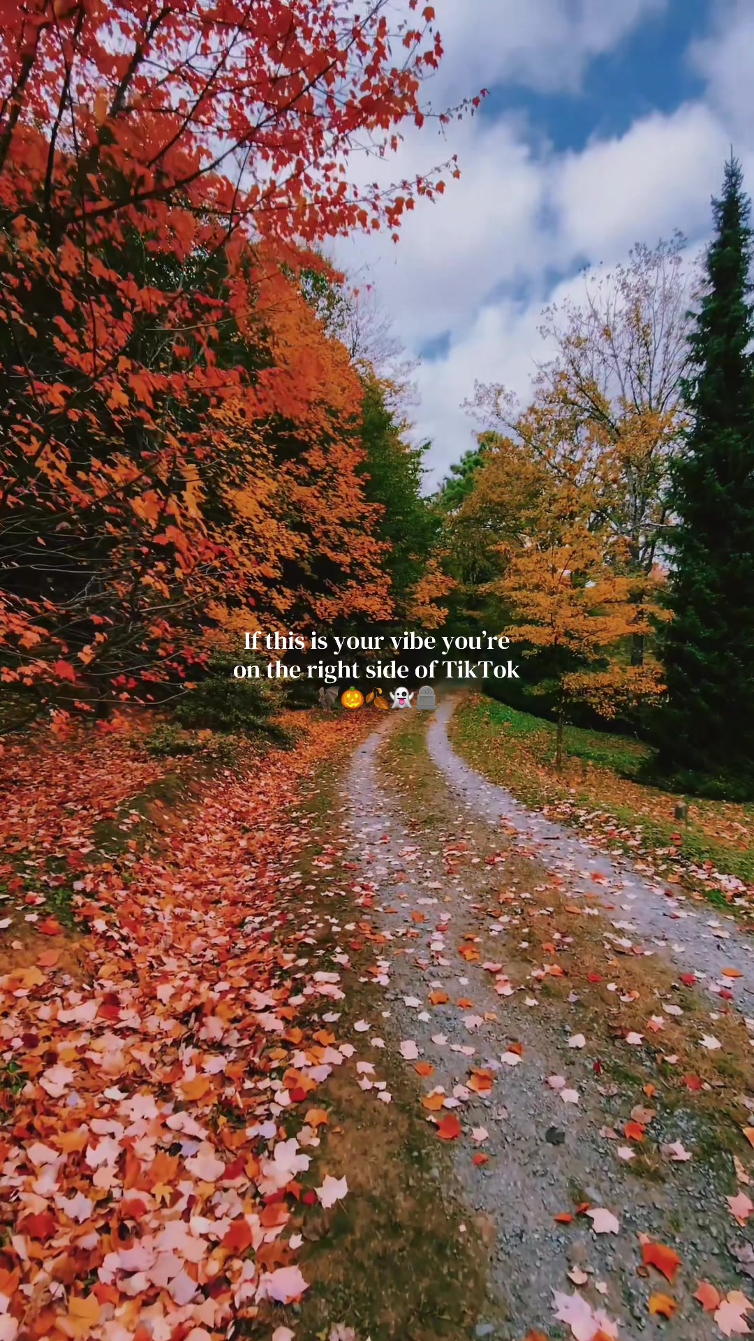 @fall.cozy_vibes