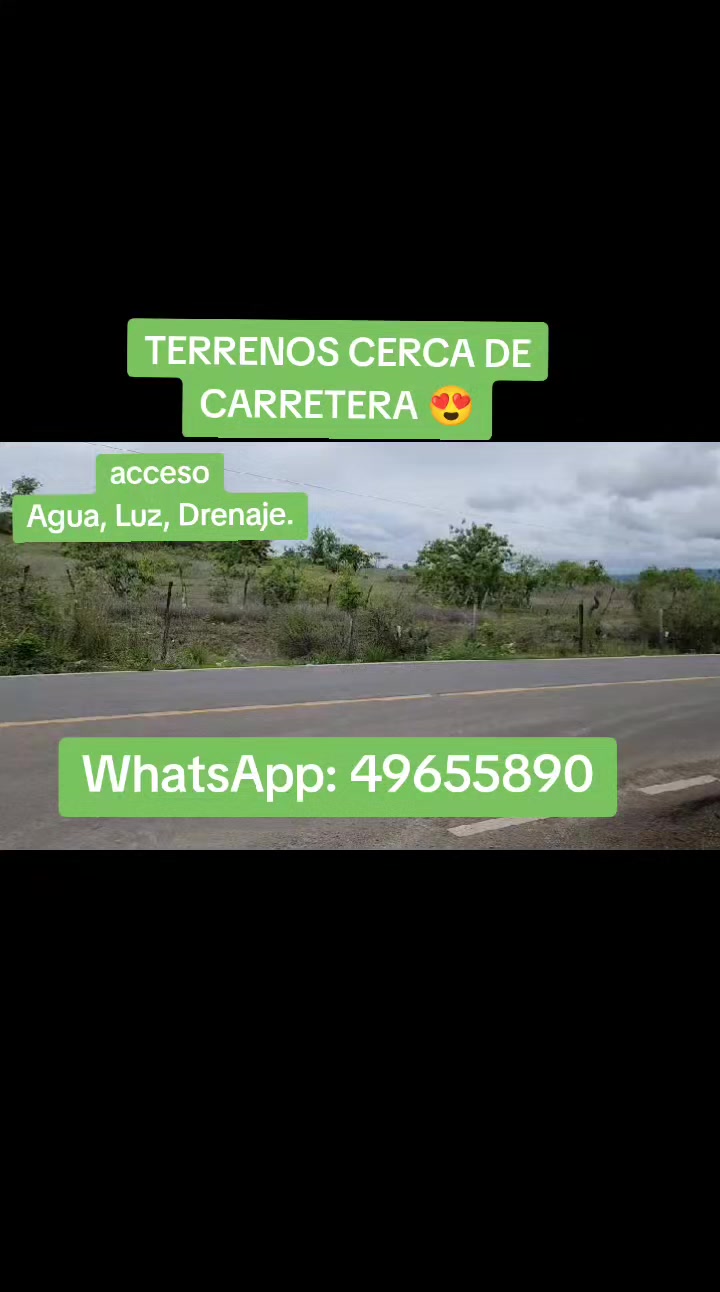 @Mario López asesor