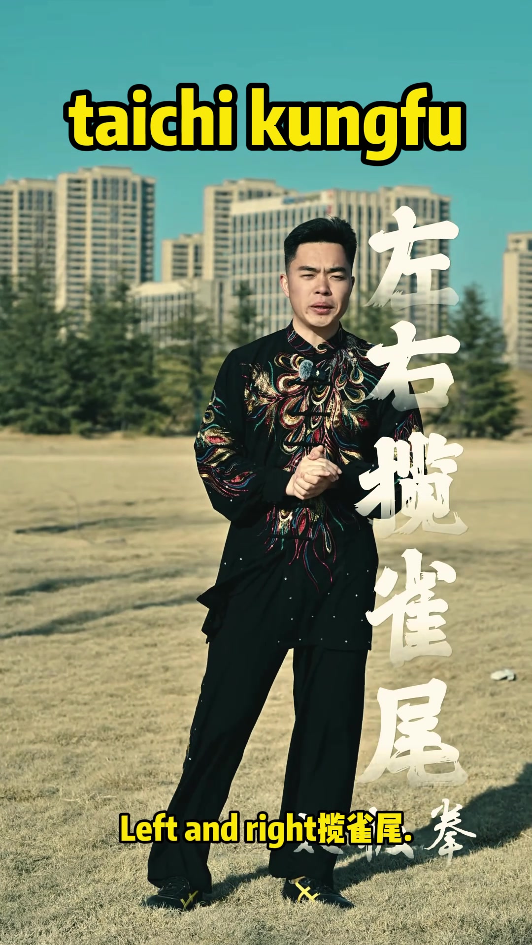 @taichituan