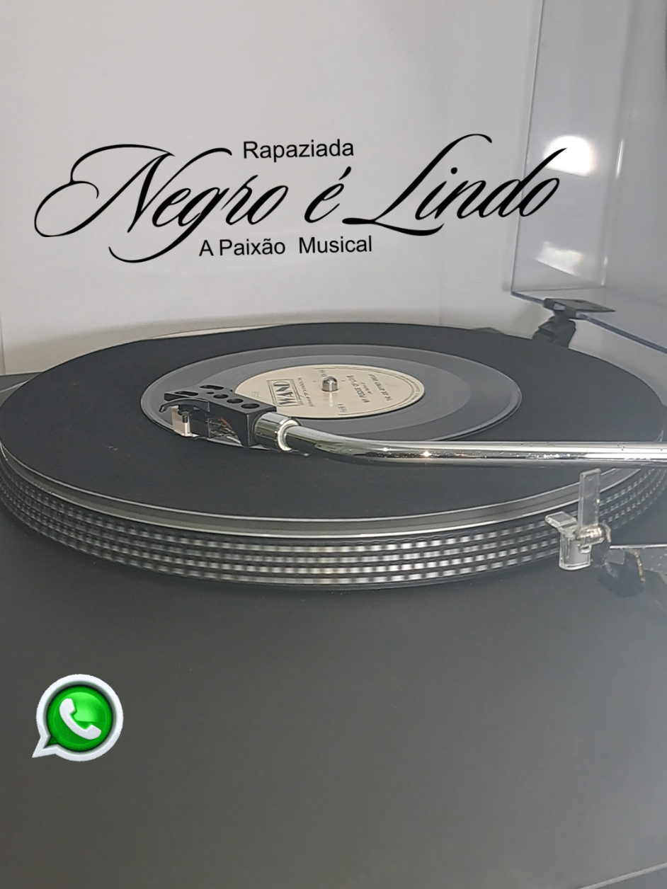 @TRANSACHIC NOSTALGIA BLACK