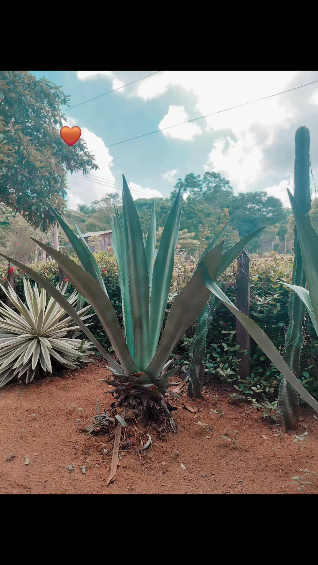 @Kimberly🌵✨️