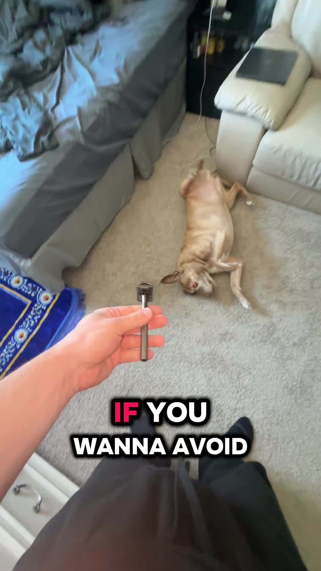 @generalshaoooo