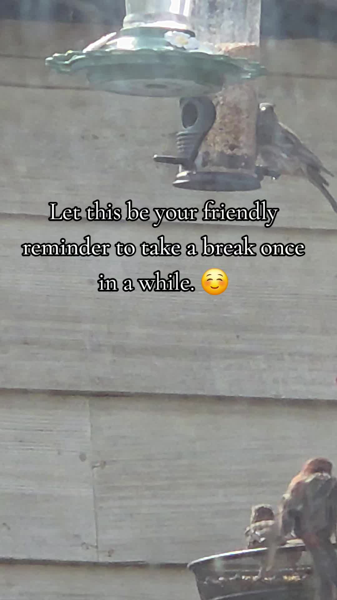 @Its.Ziggy.Stardust