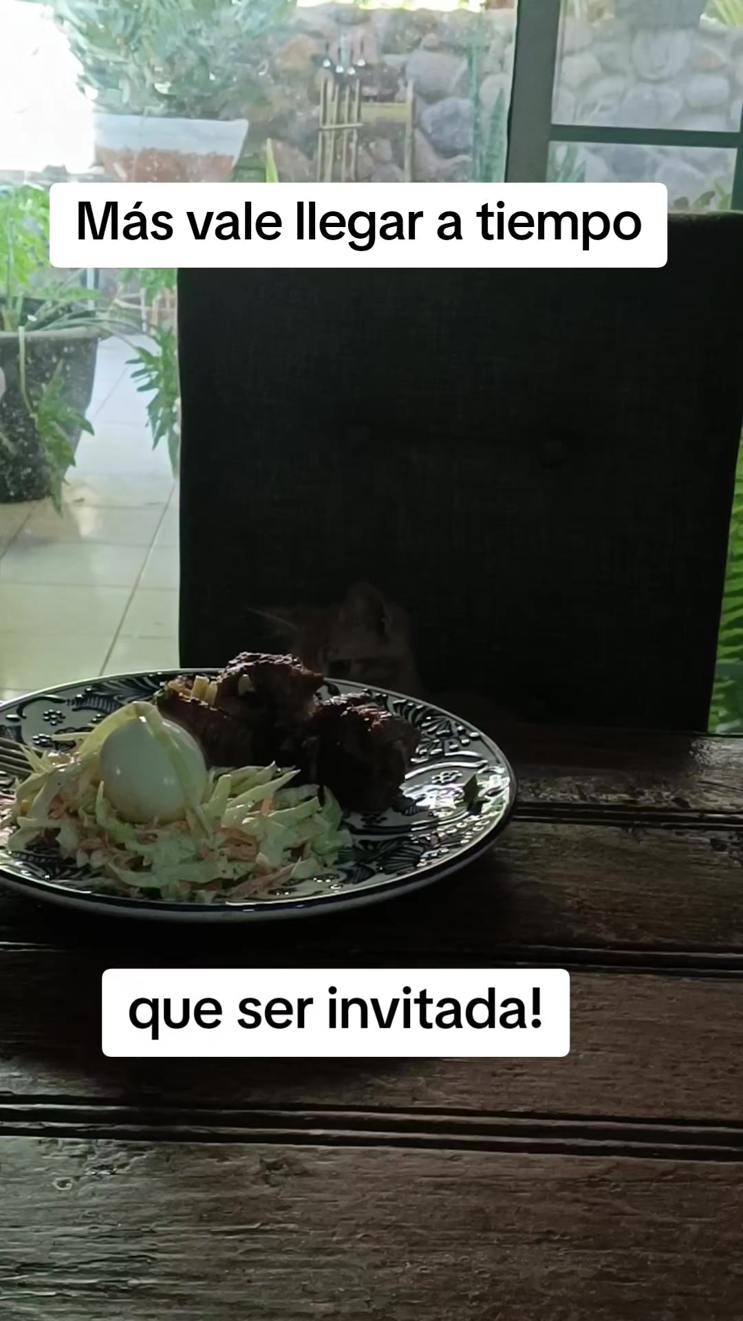 @Andreina