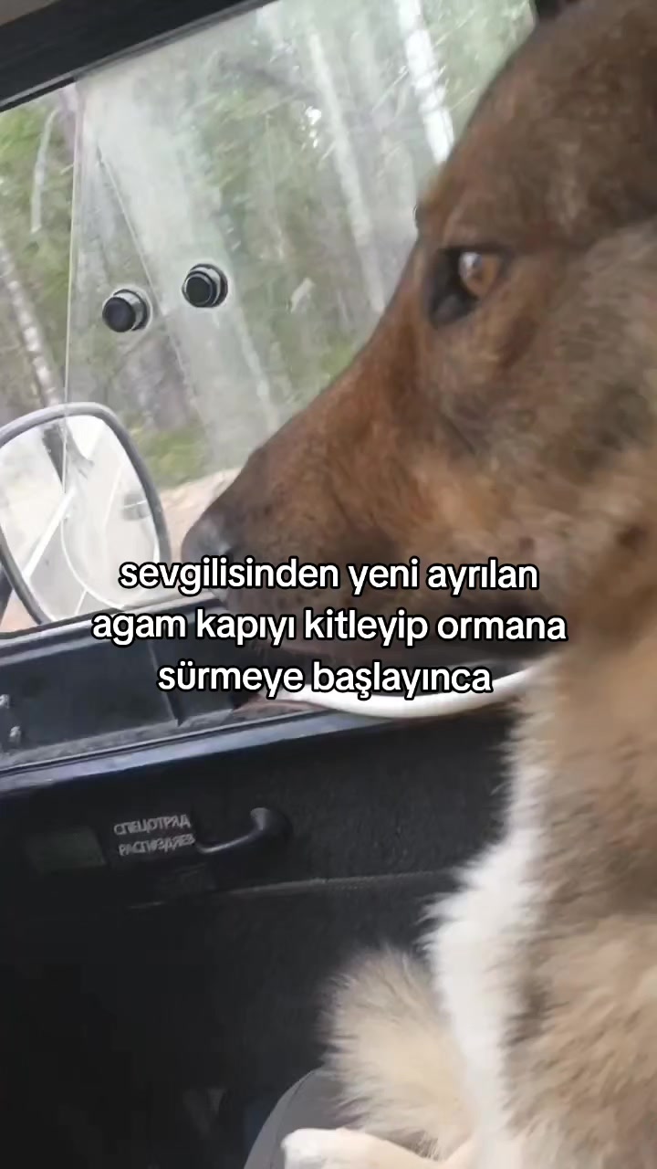 @rolland