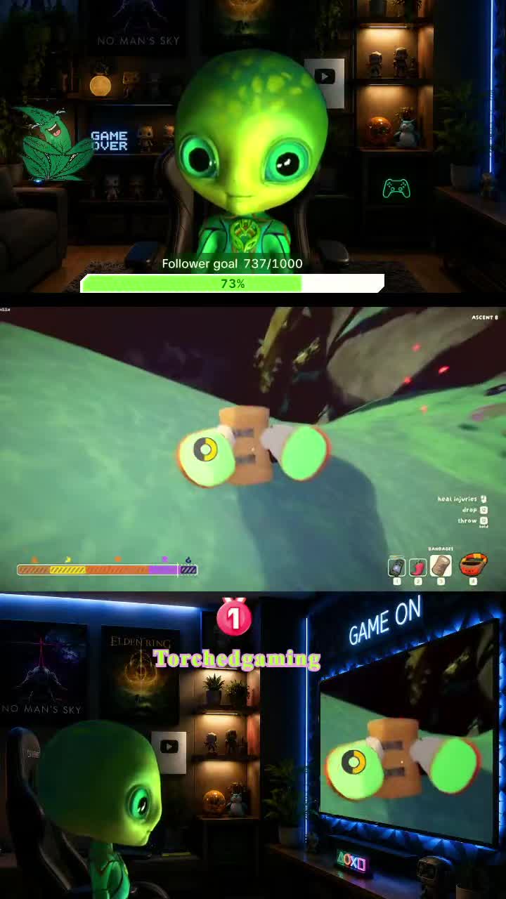 @TurtleBoy Gaming