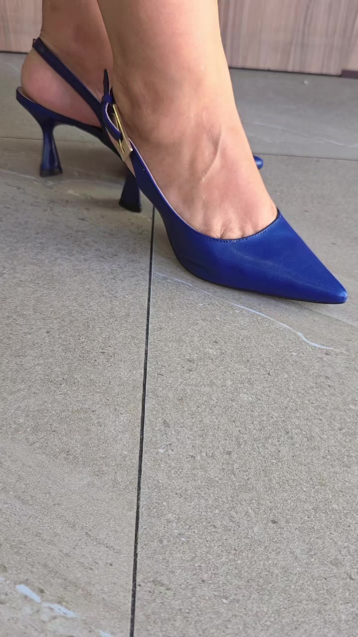 @dinastia701