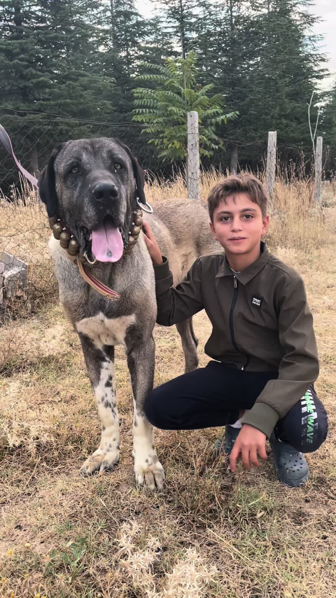 @🌹Kamuran Çimen🌹