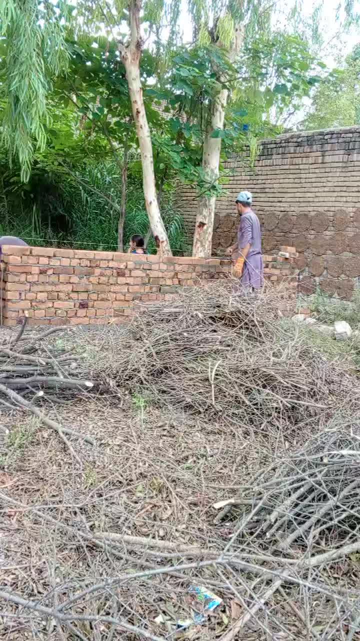 @Rafibangash123