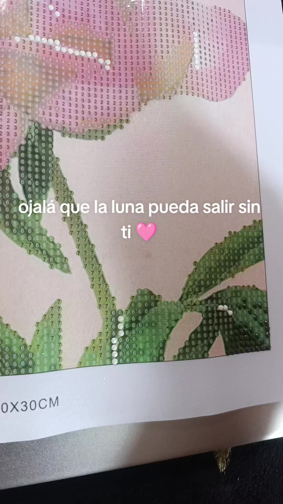 @Valeria L&oacute;pez 🩷