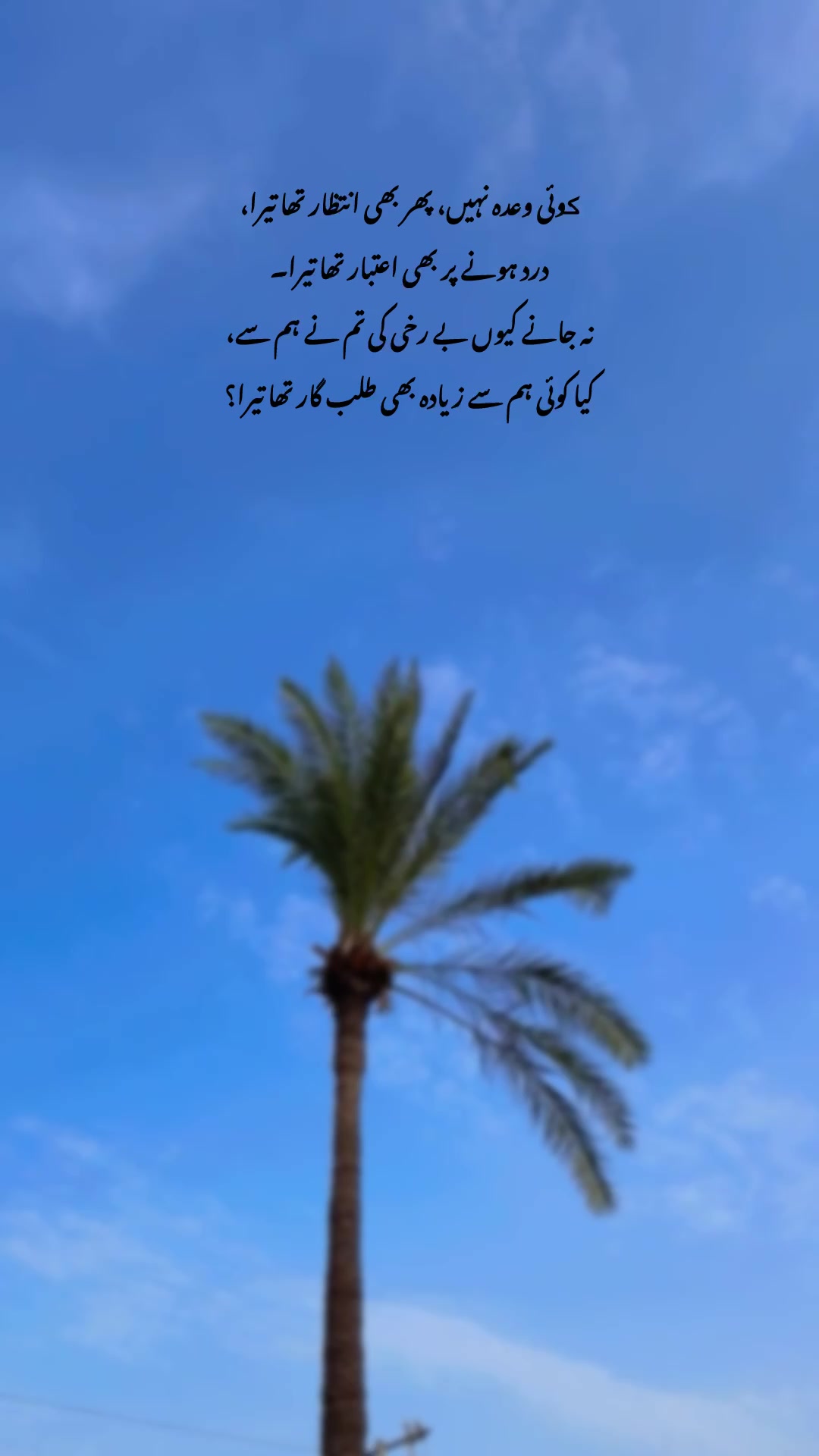 @Laiبa🥀💫