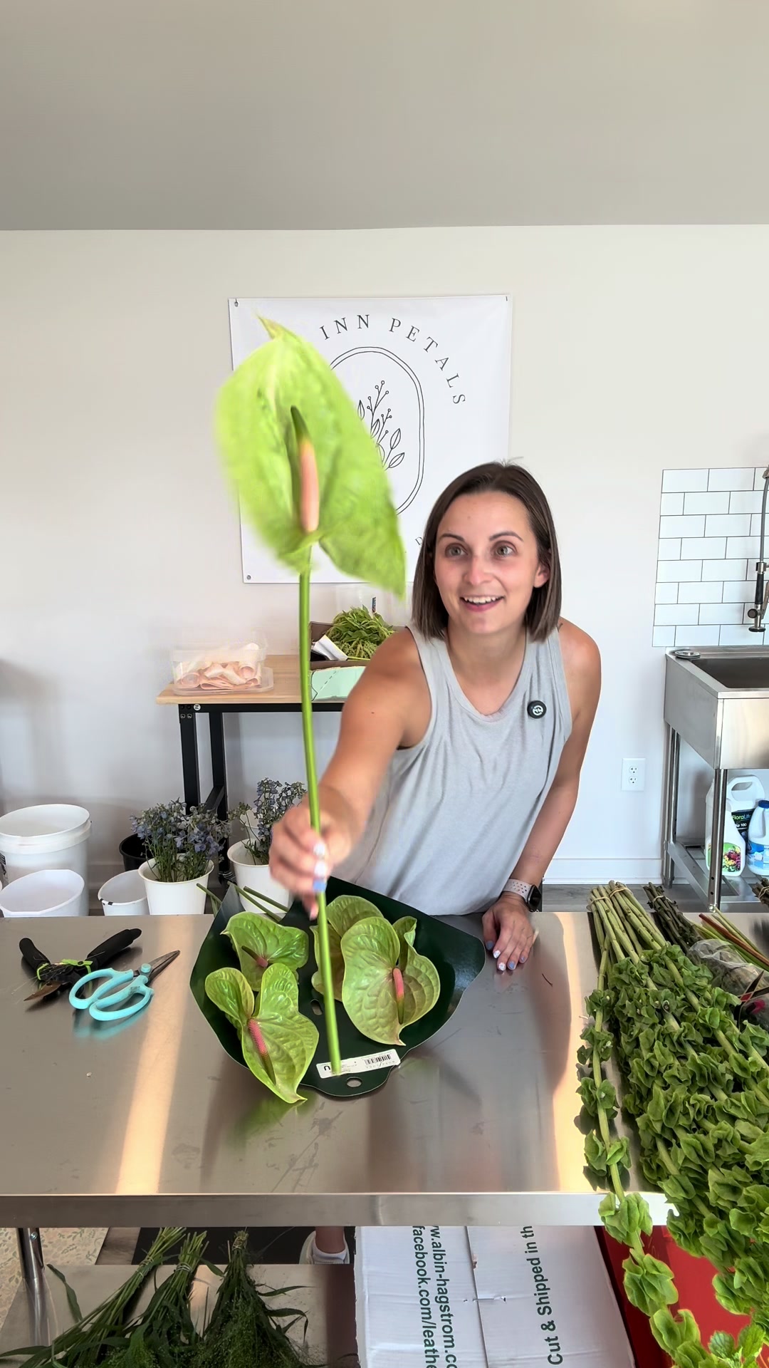 @Amanda | Pickinnpetals
