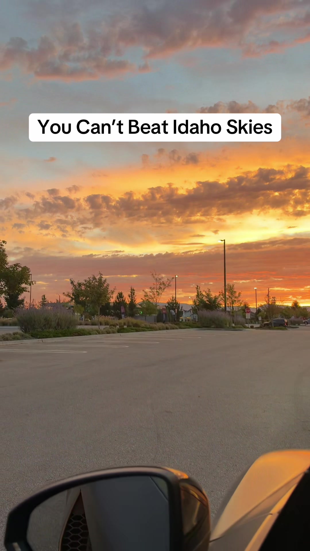 @Naseem Eissa | Idaho Realtor