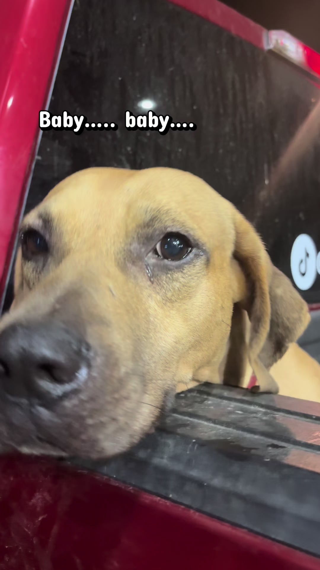 @DoubleDownHogDogs