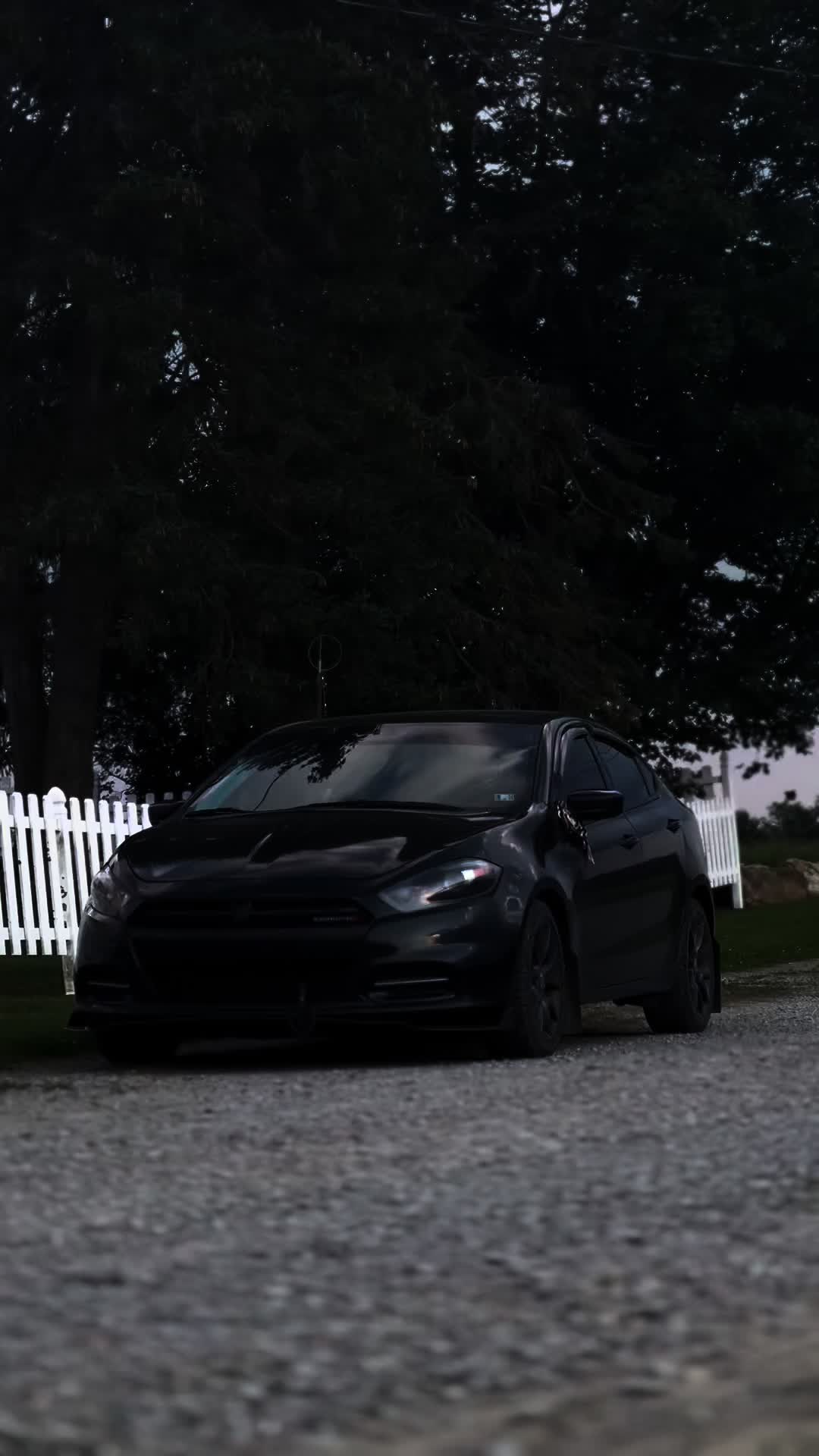 @sti_hay