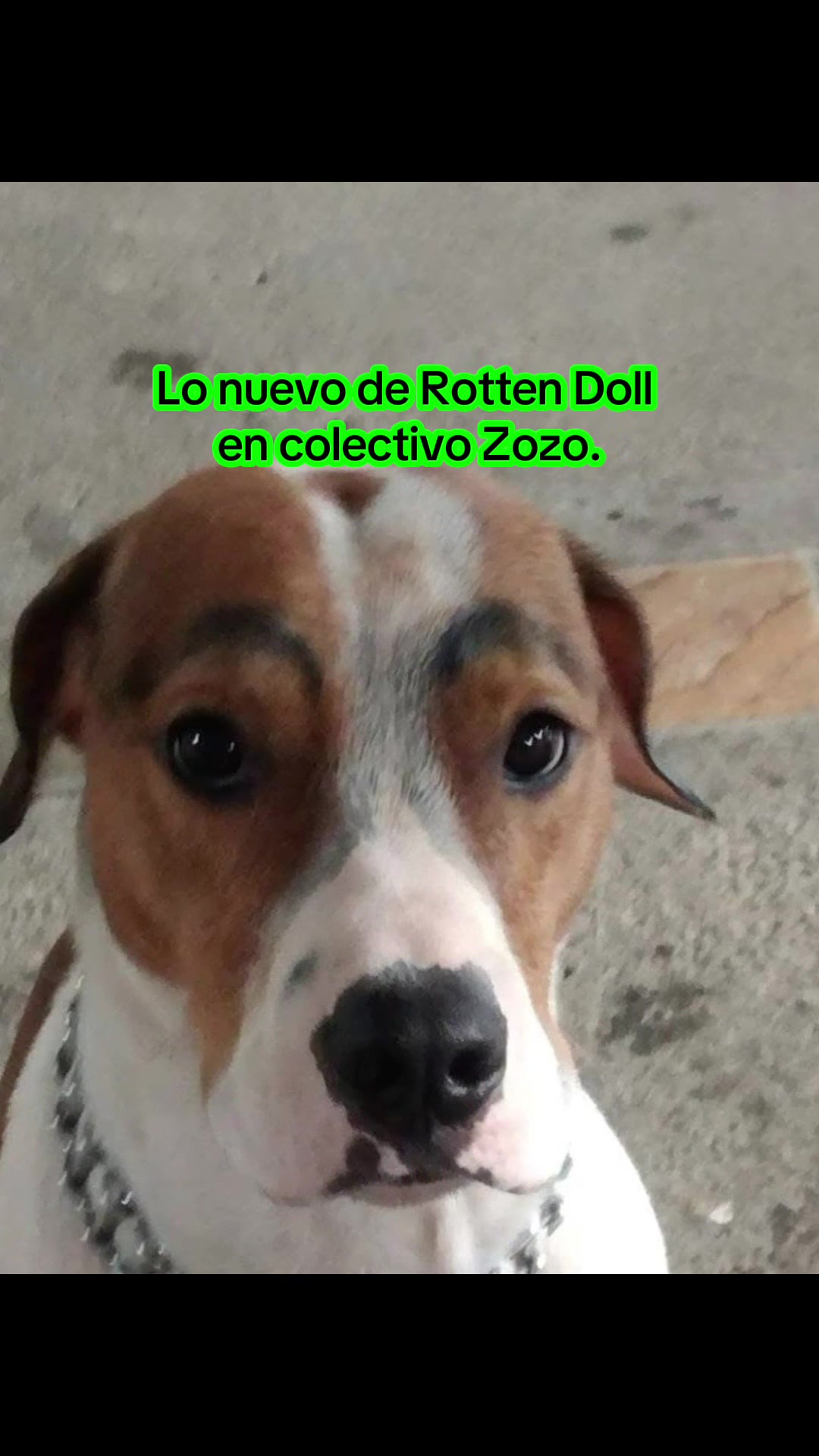 @rottendoll