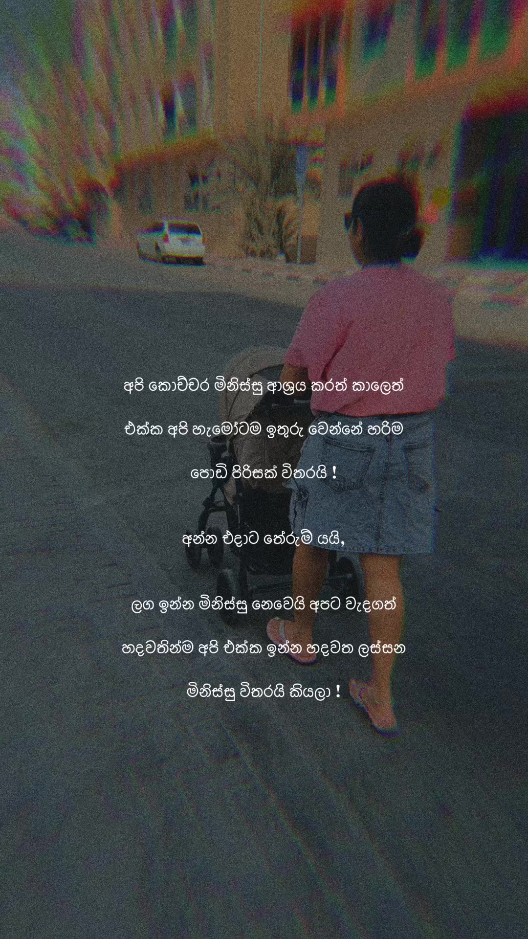 @Sαɱυ🌷🇦🇪