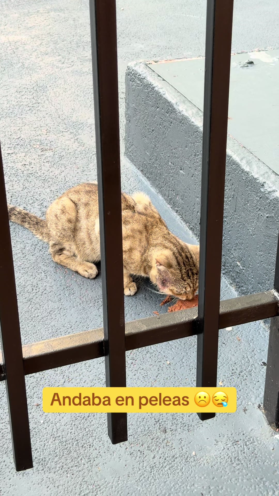 @I&rsquo;m Kitty 🐈&zwj;⬛