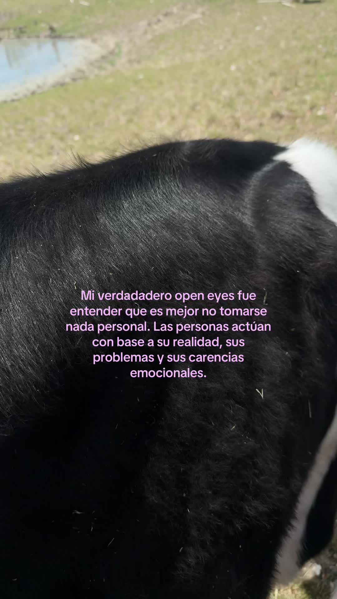 @Danna Poleo