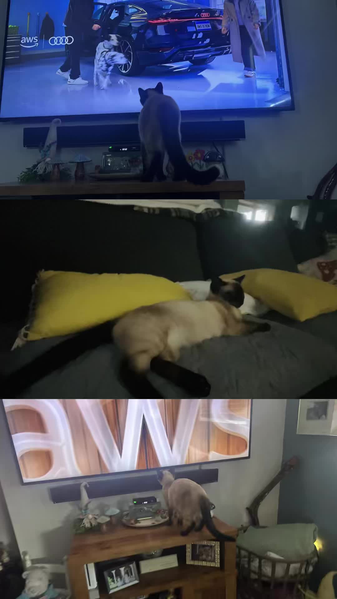 @SkippyJosAdventures