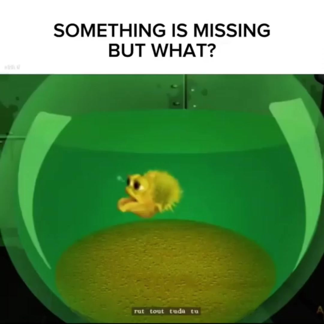 @f4lzz😹