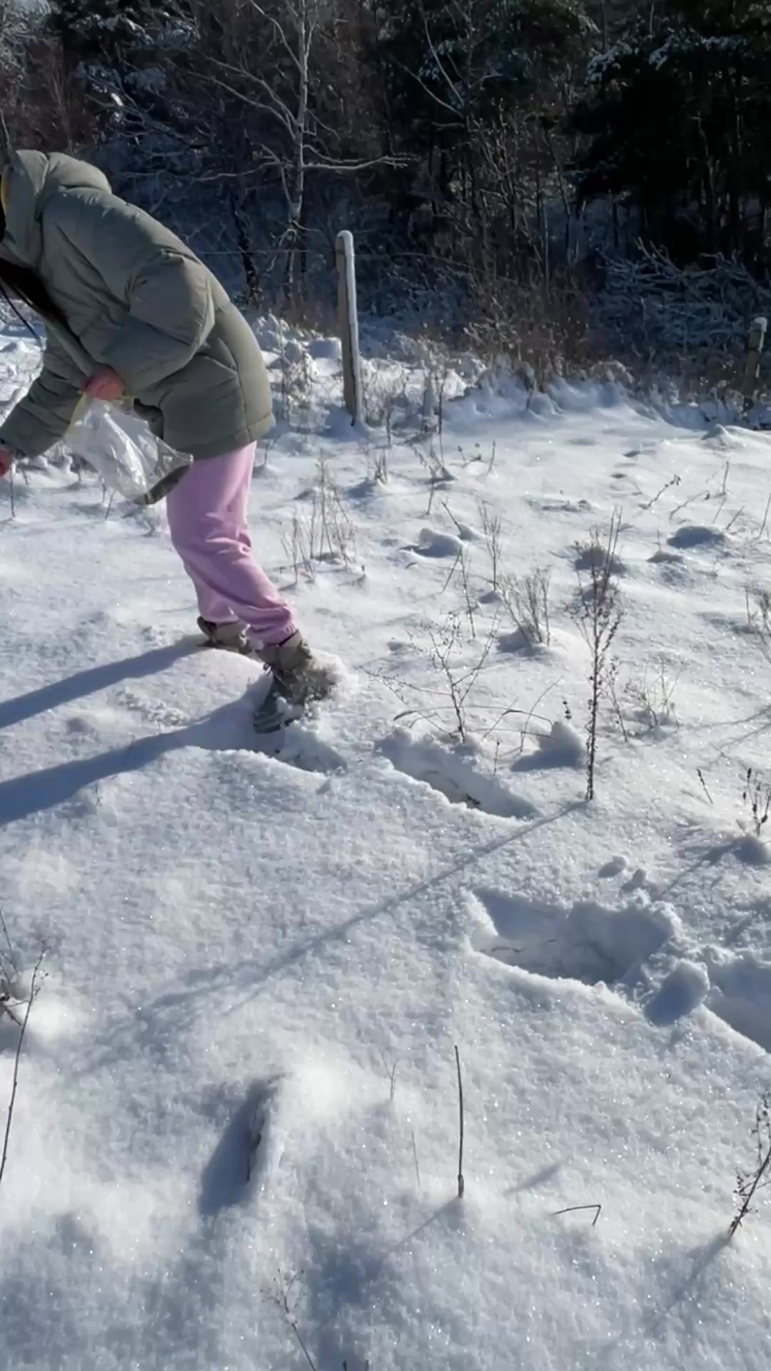 @Лавандові пагорби 😍