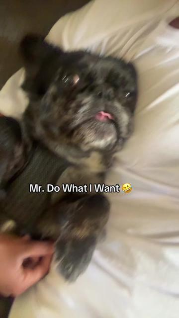 @Ouswaa