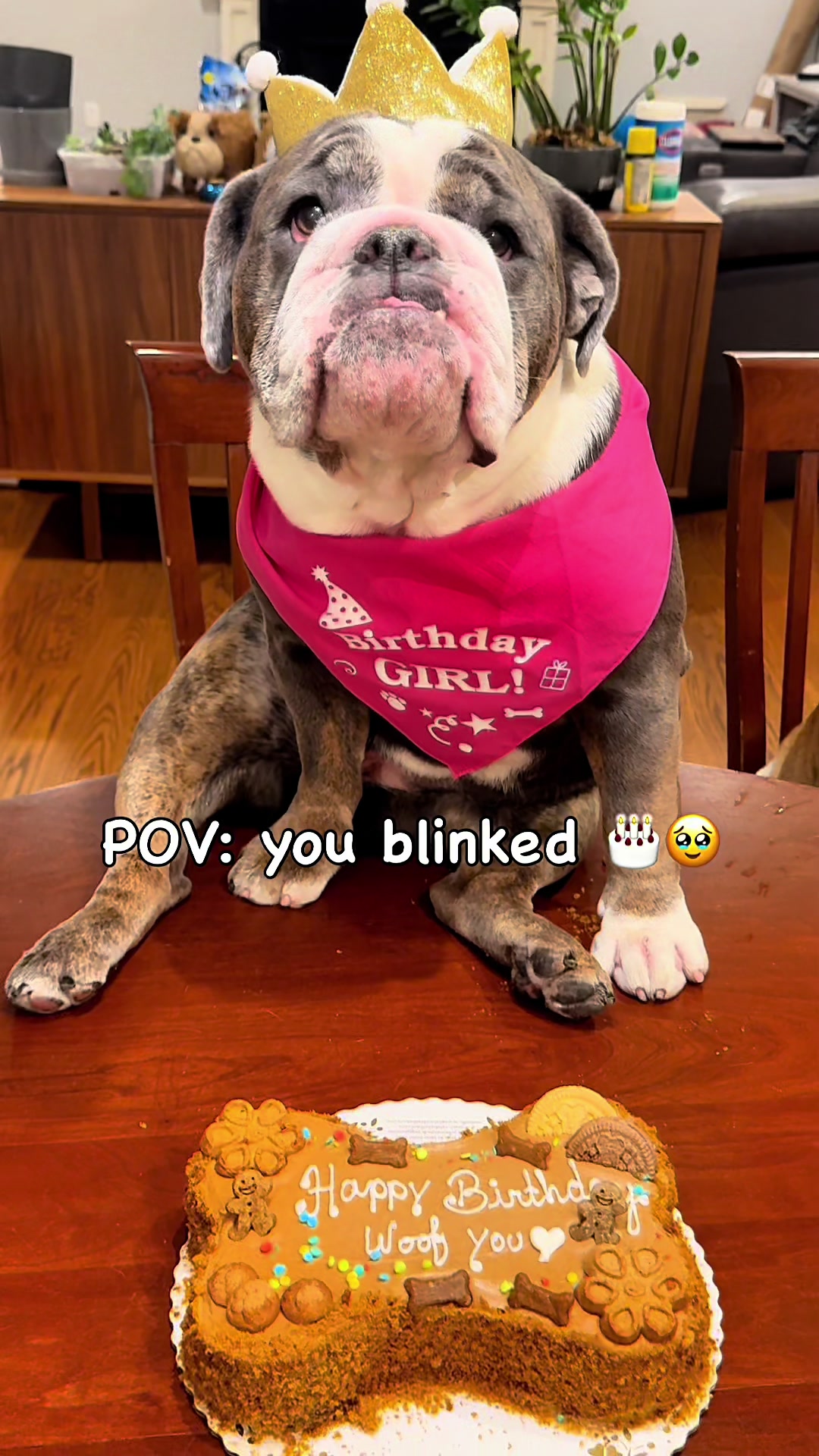 @ChubbynBella