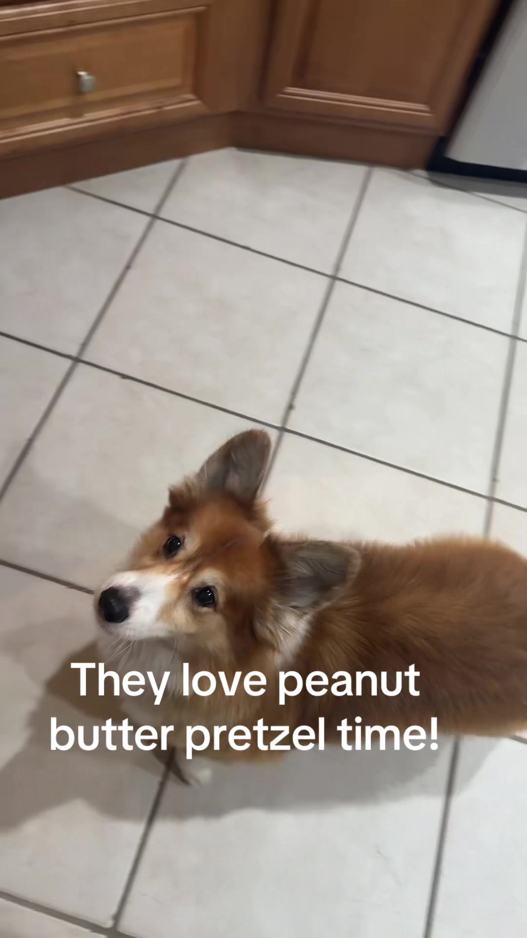 @LoLaw11