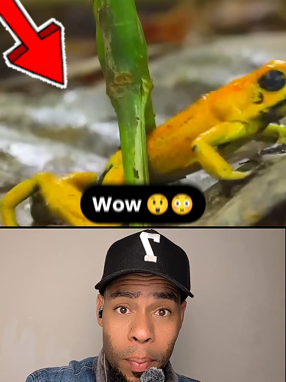 @JEFF JEUDY🧢