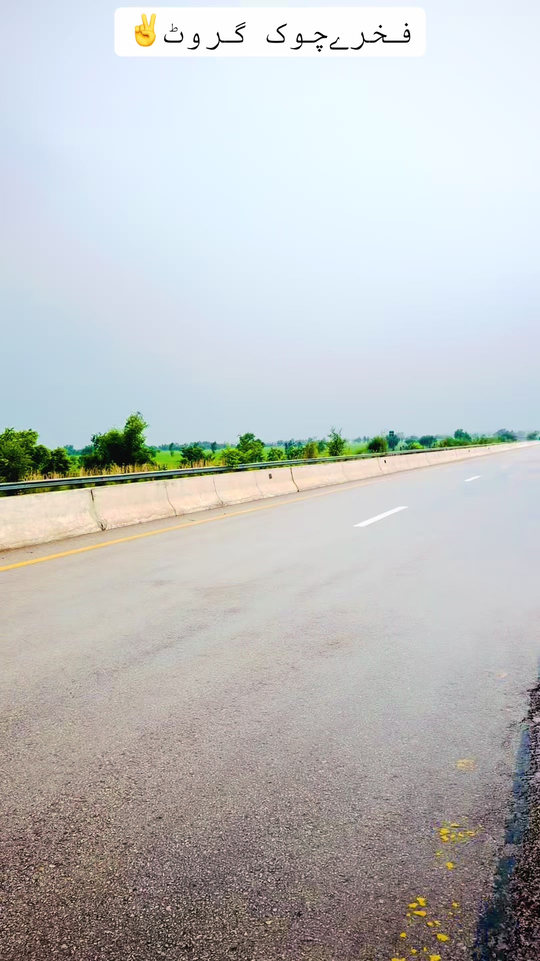 @sajidnihalka923