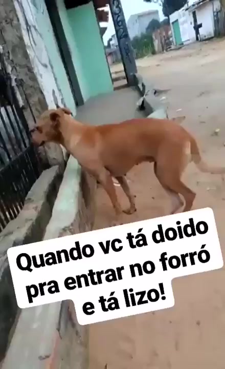 @nanô