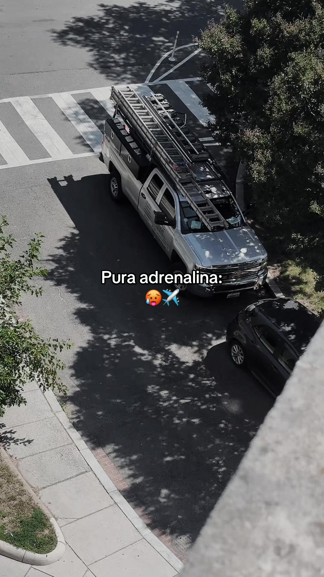 @Ronal 🔥