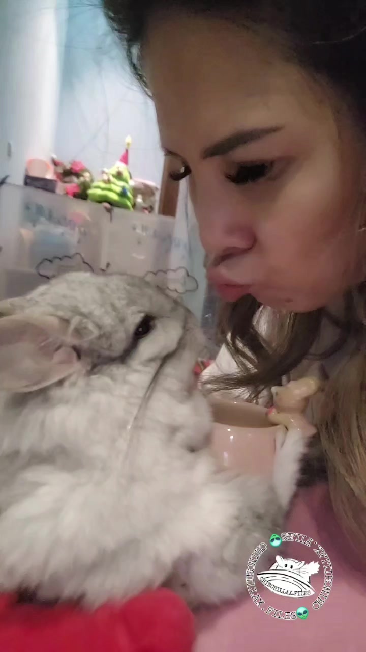 @Kuzco the Chinchilla