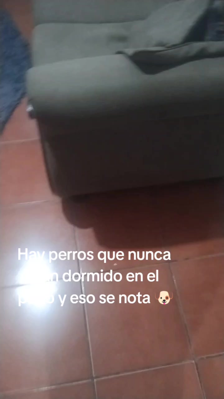@👑TANIA CAROLINA 💎✨