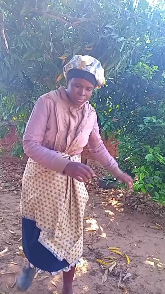 @Mai kutuza