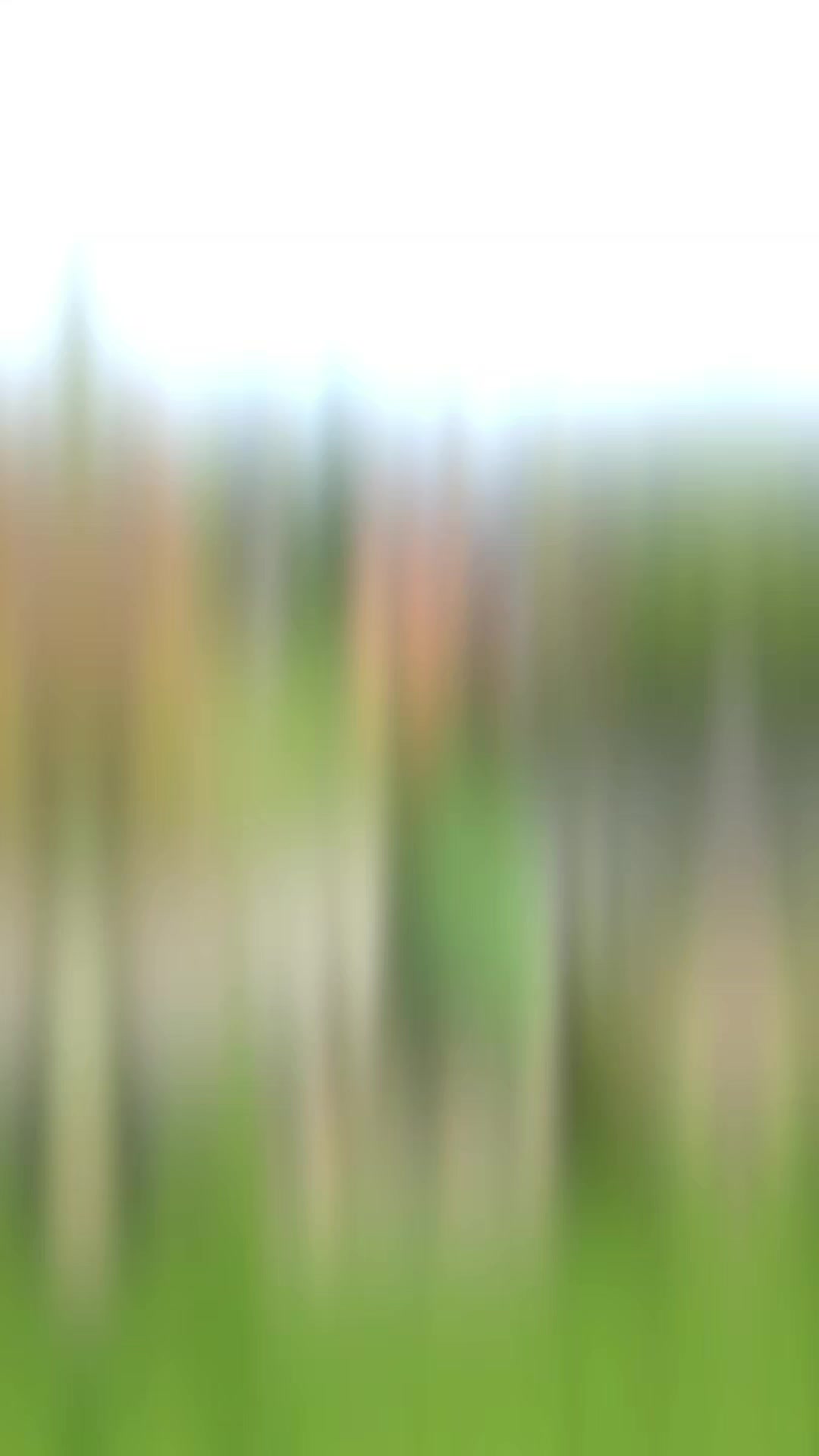 @iam 🇪🇺