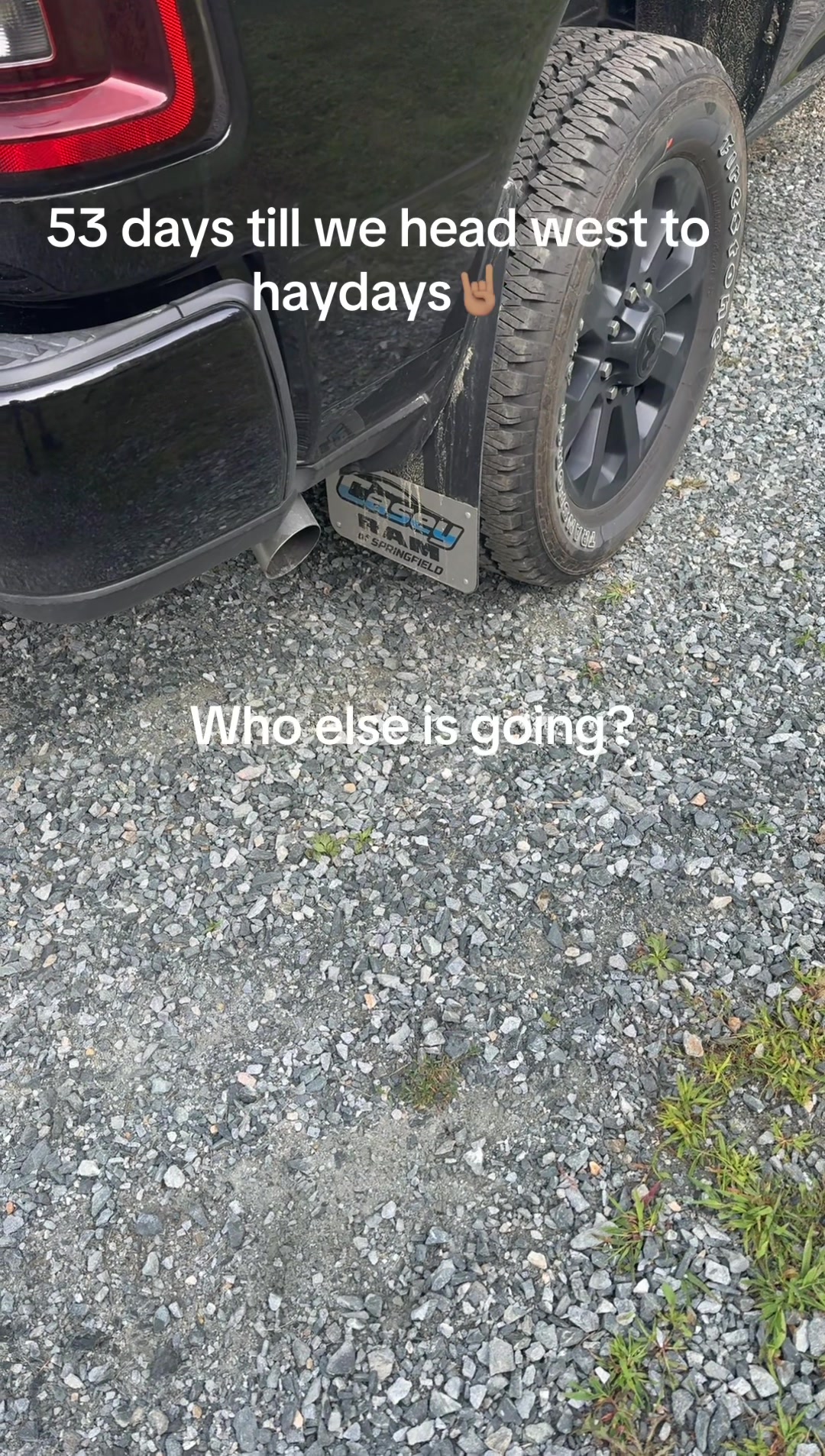 @Arcticcatmatt