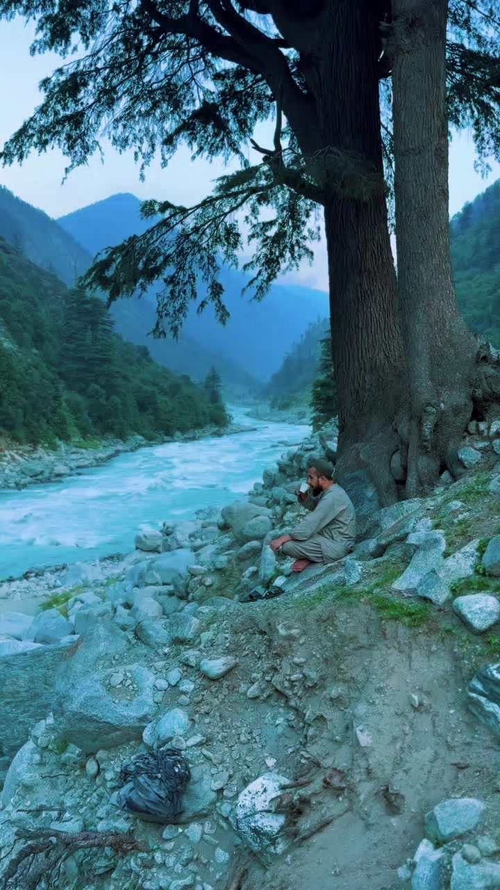 @Yahya Hayat