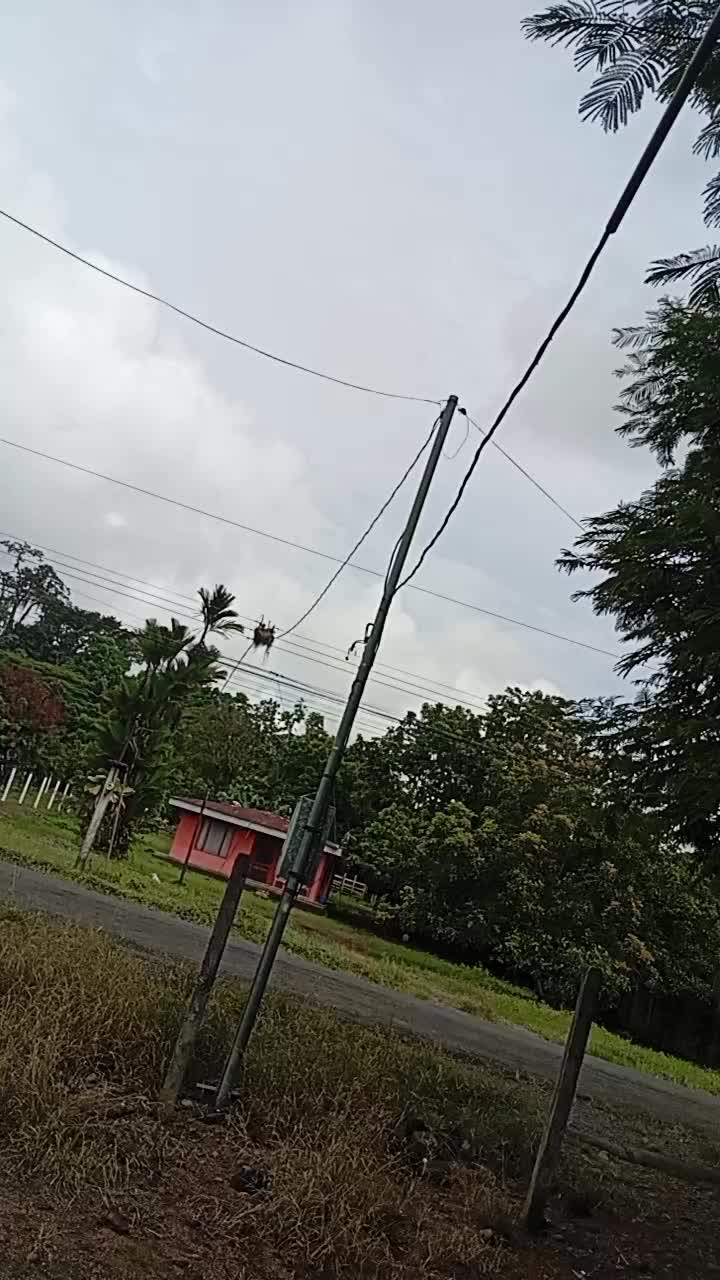 @joseth 1919