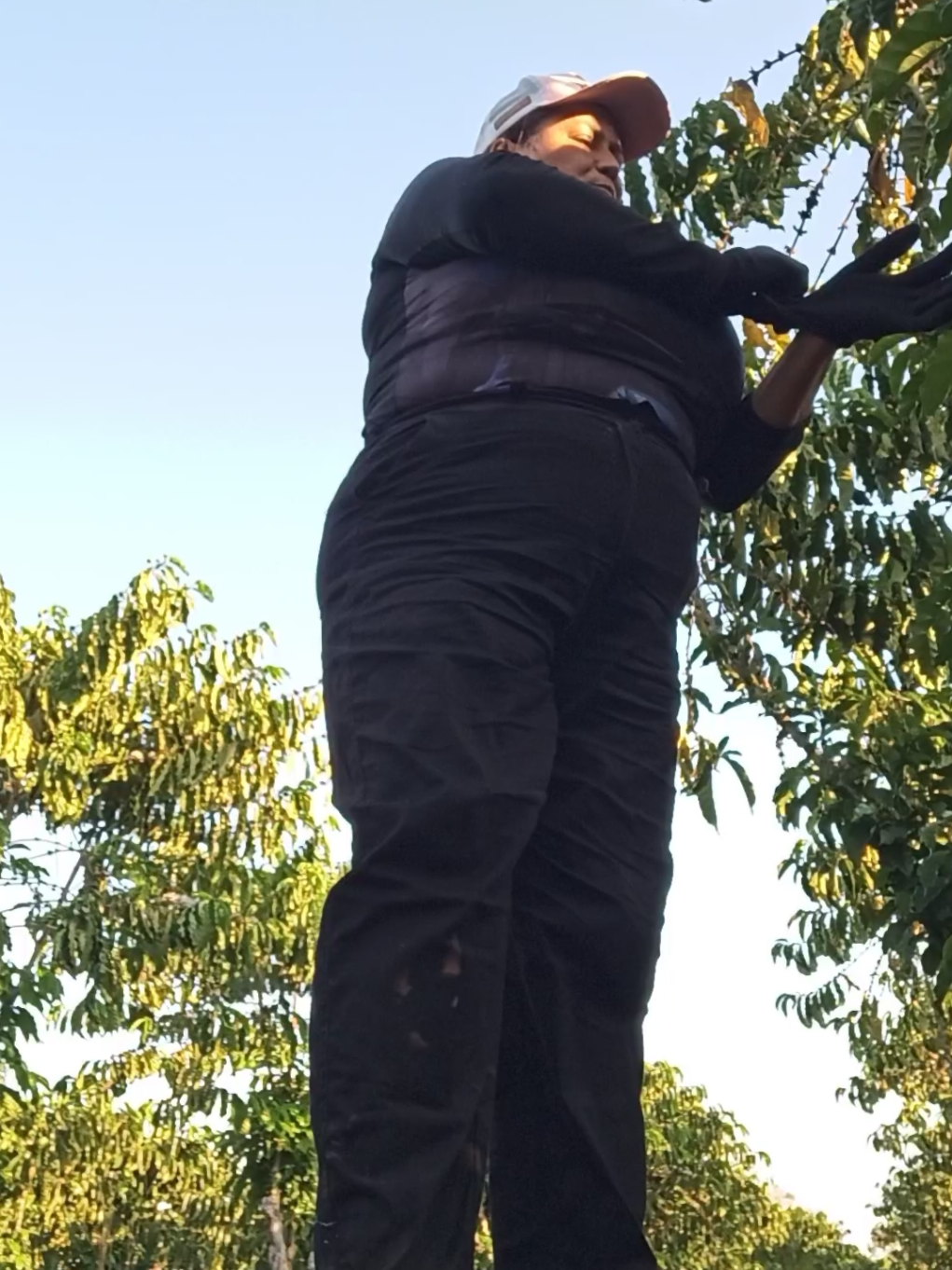 @Nice sosres