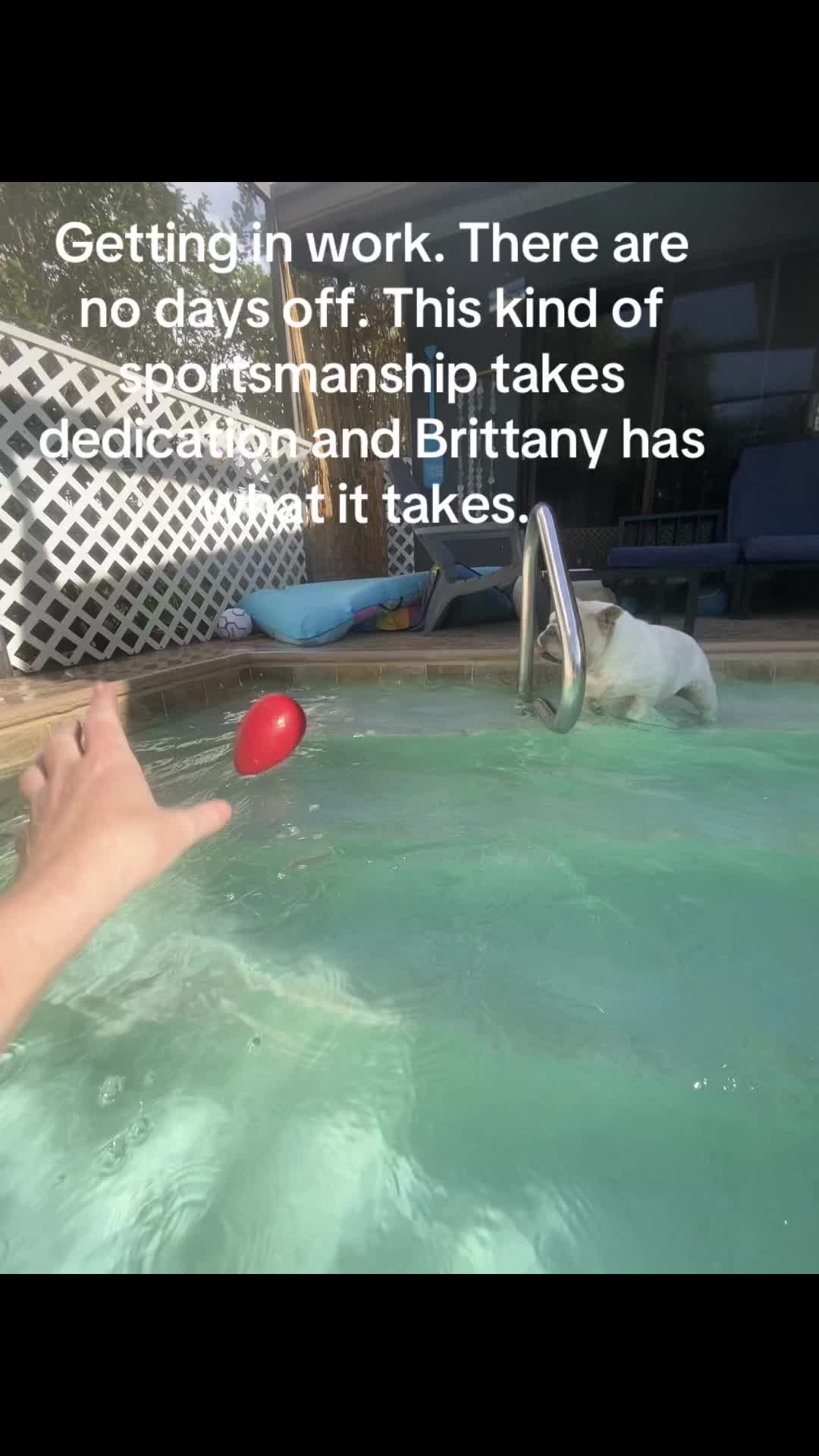 @itty_bitty_Brittany