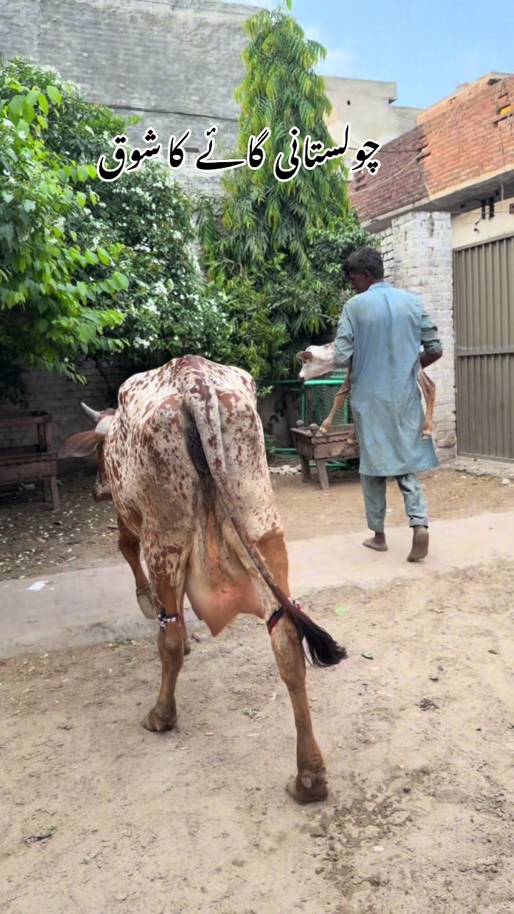 @ڈیرہ سیٹھ حسن شیخوپورہ
