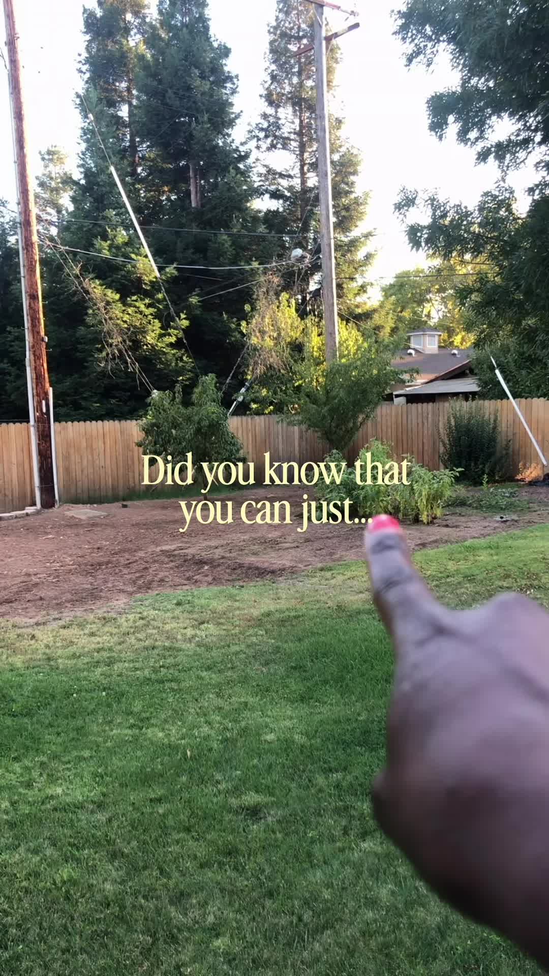 @curlycultivators