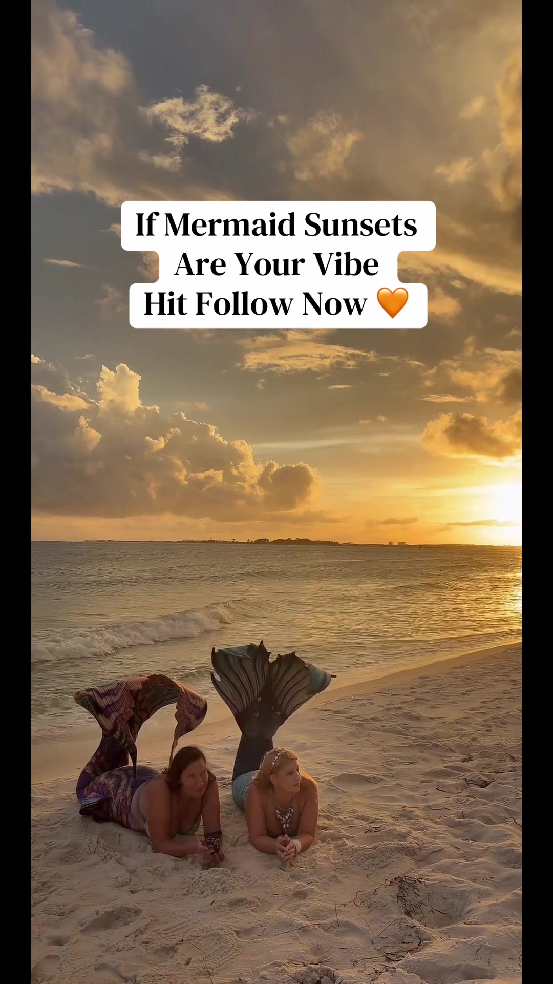 @Gulf Coast Mermaid 🧜♀️