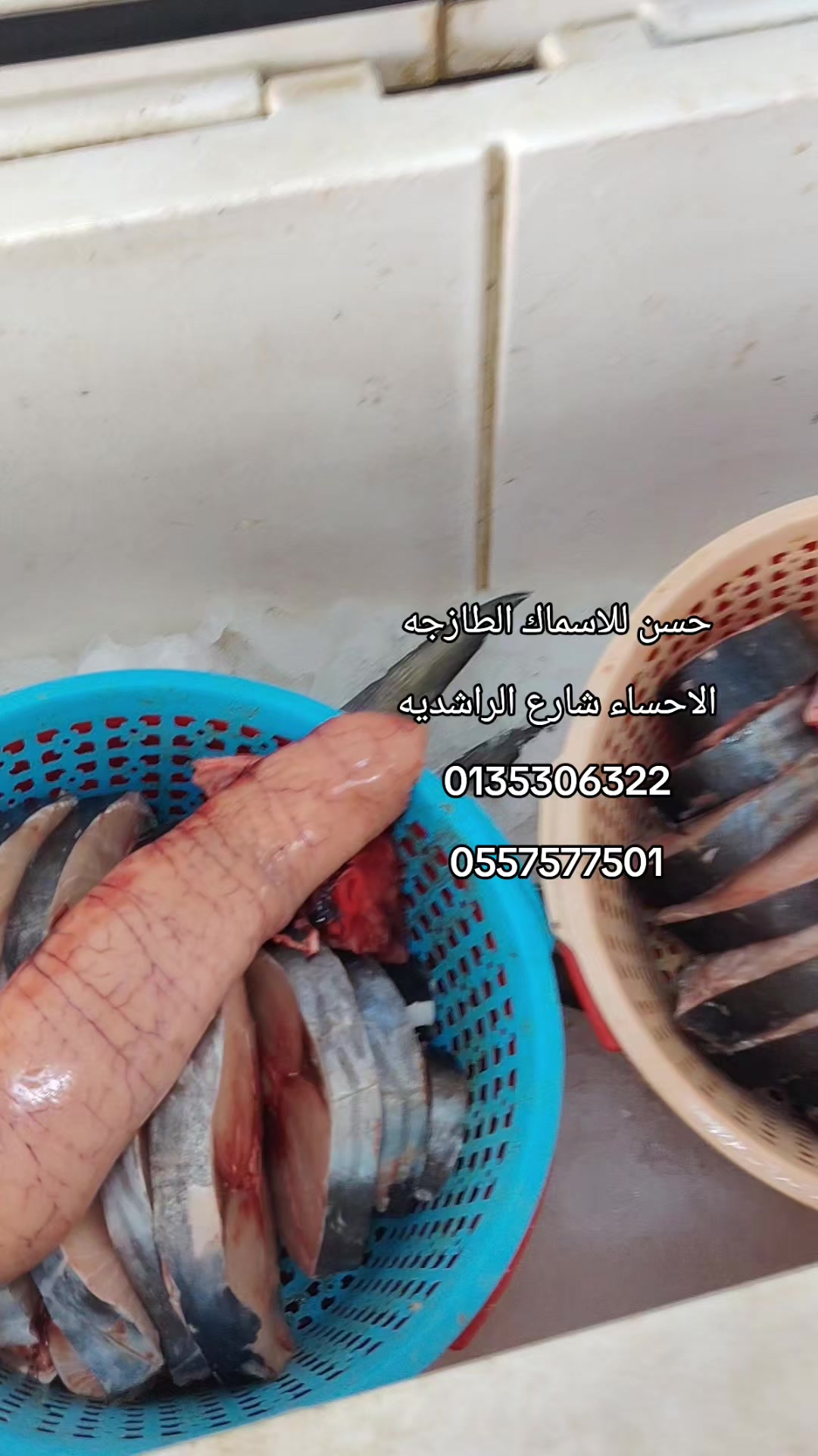 @لاين بحري